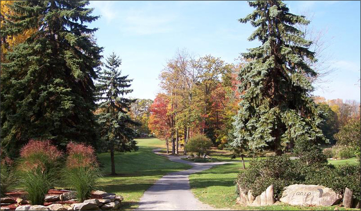 Treasure Lake View - Fall Landscape Scene 