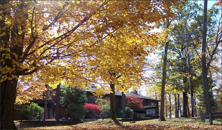 Treasure Lake View - Fall Landscape Scene 