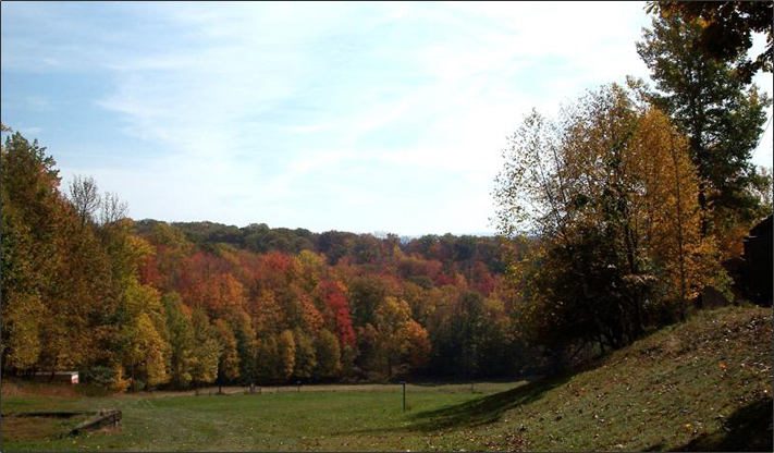 Treasure Lake View - Fall Landscape Scene 