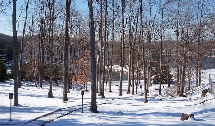 Treasure Lake Seasonal Landscape Scene