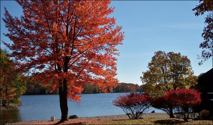 Treasure Lake Seasons