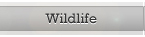 Wildlife